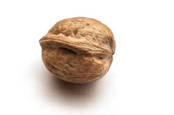 Walnut = 3.5 cm