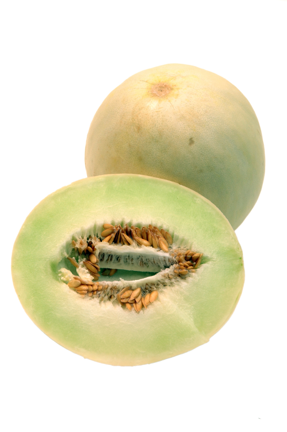Honeydew melon = 16 cm